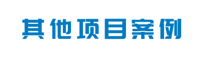 其他项目案例