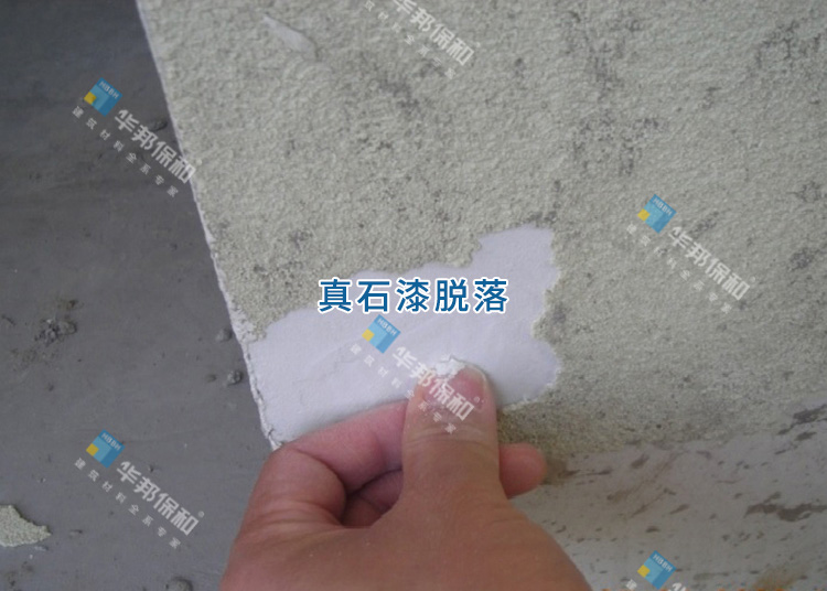 e72ce111cf3743ac87e2af7fb0052ed7