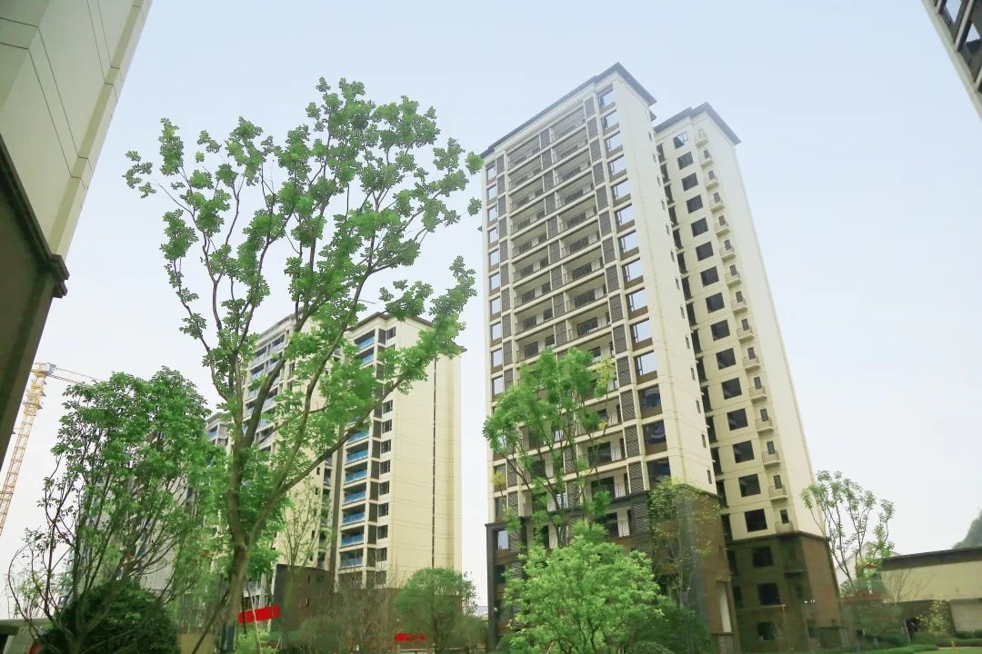 HAHA官网项目案例-表墙腻子-大英金域香江