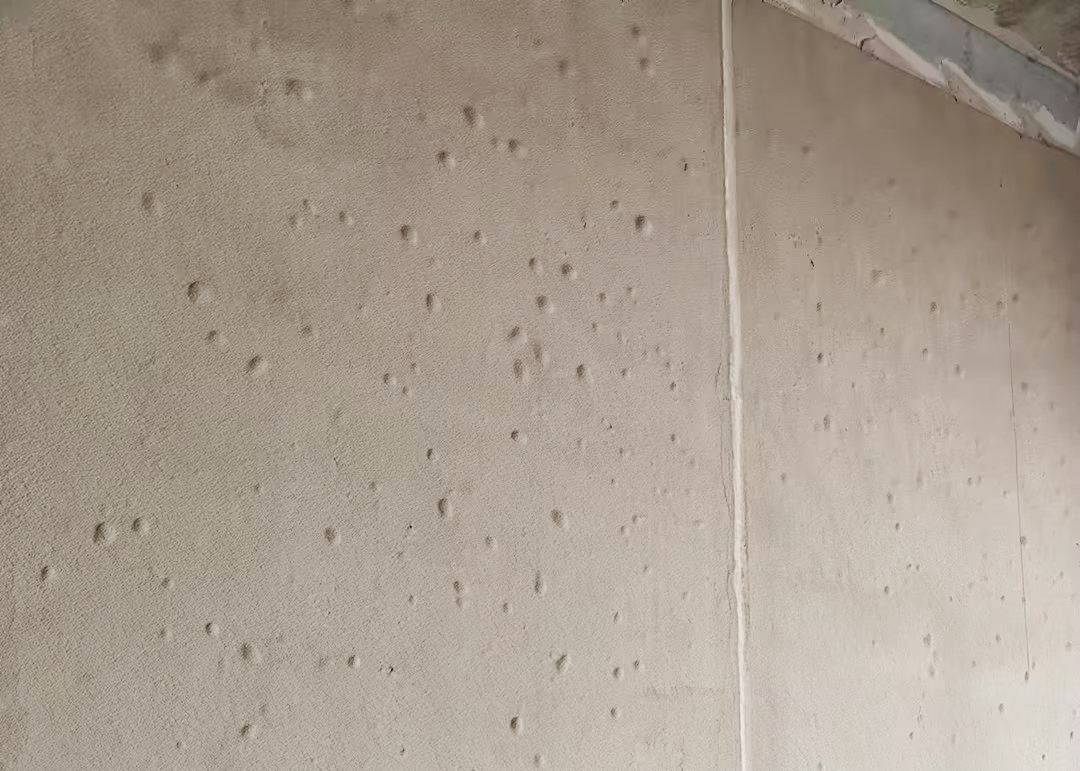 哈哈(haha)体育_十年运营 诺言无忧